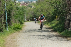 IMG-20240418-WA0141